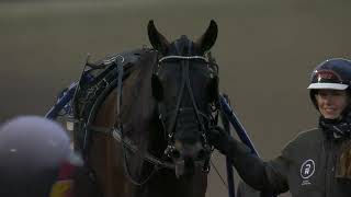 Åbytravet 230930  Lopp 10 StoSM [upl. by Benito]