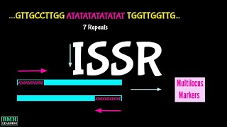 ISSR  Inter Simple Sequence Repeat  ISSR Markers  ISSR PCR [upl. by Zackariah]