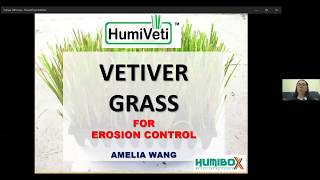 Using Vetiver Grass a natural ways for Effective Soil Erosion Prevention [upl. by Natsud]