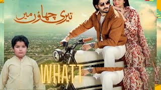 Teri Chhaon Mein Drama Danish Taimoor amp Laiba Khuram Ki Fight Ho Gai Whatt [upl. by Handal715]