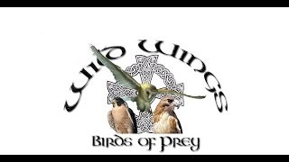 Wild Wings Birds of Prey Appeal [upl. by Flin]