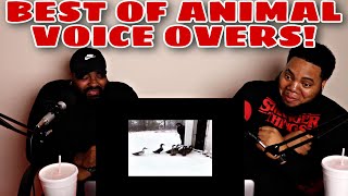 Tony Baker best of Animal voice overs 2020  TRY NOT TO LAUGH [upl. by Murdocca464]