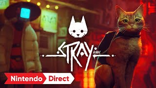 Stray – Announcement Trailer – Nintendo Switch [upl. by Adnuahsar]