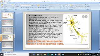 Basic structure of Neuron in urduhindi lec [upl. by Simonetta]