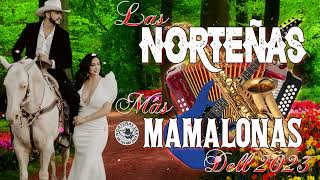 Lo Mejor de las Nortenas 2023  Mix con las Canciones Nortenas más Escuchadas y Nuevas del Año [upl. by Anyek179]