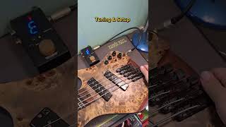 Ibanez EHB1505MS Smoothsounds บางแสน ชลบุรี bass setupbass [upl. by Ecnaralc]