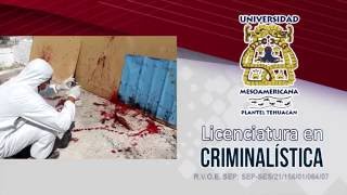 Análisis de Manchas de Sangre  Criminalística  UMA Tehuacán [upl. by O'Donovan]