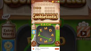 Word Cookies Fantastic Chef Kiwi Level 8 [upl. by Nnaecyoj117]