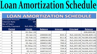 Excel Loan Amortization Schedule in Excel by learning center in Urduhindi [upl. by Nnylasor]