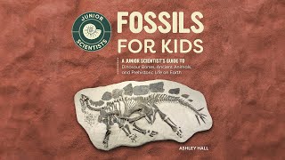 all about fossils trace fossils [upl. by Ativoj]