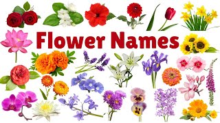 Learn Flowers Name for Kids  Flowers Name in English  flowers name with pictures flowers [upl. by Atrebor]