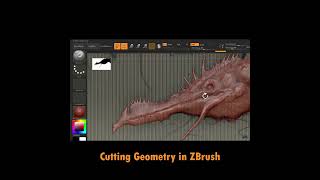 Cutting Geometry in ZBrush Using Knife Lasso shorts [upl. by Enitsuj]