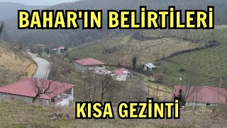 Baharın Belirtileri Görünmeye Başladı Köyün Çevresinde Kısa Gezinti 21 Şubat 2024 [upl. by Lyrej116]