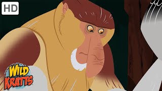 Wild Kratts  Primates  Apes and Monkeys [upl. by Mhoj]