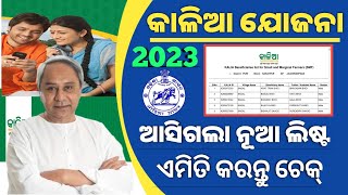 Kalia Yojana New List Check Online 2023Kalia Yojana New List Download OnlineKalia Yojana 2023 [upl. by Cooke]