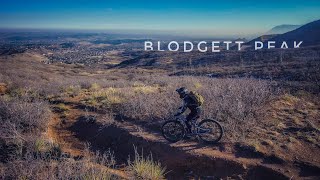 Fast and Flowy Downhill Trail  FENCELINE  Blodgett Peak Open Space  Colorado Mountain Biking [upl. by Anelhtak]