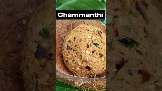 சம்மந்தி  Chammanthi  GGs Dream chammandhi chammanthirecipe [upl. by Anoved]