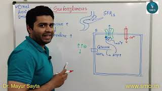 Gliclazide Tablet and Capsule  Drug Information [upl. by Sinnal65]