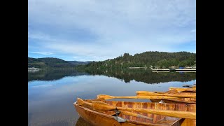 Titisee lake  titiseeneustadt  Black Forest  Badenwürttemberg [upl. by Sitoiyanap]