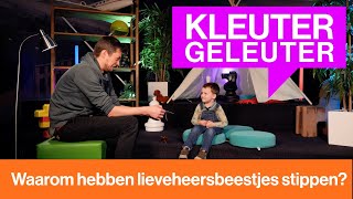 Waarom hebben lieveheersbeestjes stippen  Kleutergeleuter [upl. by Standish]