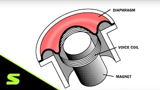 Understanding Mic Specifications  Part I  Operating Principle [upl. by Yelbmik]