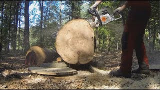 Stihl MS 661 stock vs ported [upl. by Hoes]