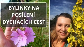 Bylinky na dýchací cesty [upl. by Atteuqahs]