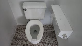 1993 American Standard Cadet comfort height toilet [upl. by Darrelle]