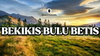 KARAOKE BEKIKIS BULU BETIS ANDREWSON NGALAI [upl. by Airotahs]