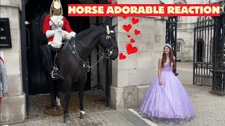 Royal Horse Cant Take His Eyes Off the Princess  Even Surprises the Guard [upl. by Disini]