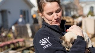 Fighting for Hope Rescuing Animals After Hurricane Sandy [upl. by Pascale]