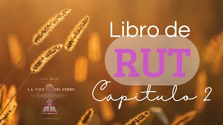 Capítulo 2  LIBRO DE RUT  Biblia Hablada 📖🎙️ [upl. by Enneicul962]