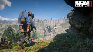 How Charles Buried Arthur Morgan A Missing Scene from RDR2 [upl. by Amend]