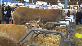 salon agriculture paris 2ème partie HD [upl. by Annet]