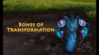 World of Warcraft Toys Guide 8  Bones of Transformation  Night Elf Rare Archaeology Item [upl. by Eimmelc]