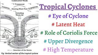 P12C10 What are TROPICAL CYCLONES 5 conditions for formation of Tropical Cyclones Eye of Cyclone [upl. by Yennor]