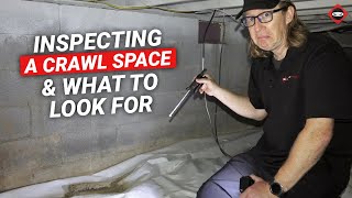 Crawl Space Inspection Tips  Choose The Right Contractor [upl. by Lehpar]