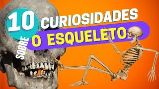 10 Curiosidades sobre o esqueleto [upl. by Hamo]