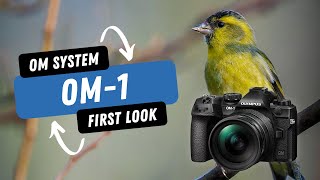 OM System OM1  A lightweight flagship camera perfect for wildlife stills amp video [upl. by Nnel566]