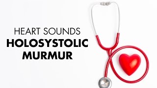 What are the Common Causes of Heart Murmurs Heart Murmur Series [upl. by Bessy]