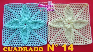 Cuadrado N° 14 Tejido a crochet Hojitas con borde en relieve para Mantitas de bebe y cojines [upl. by Anomor476]