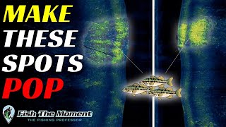 This Fish Finder HACK Can Make or Break Your Success Offshore  Bass Fishing Electronics [upl. by Jablon]