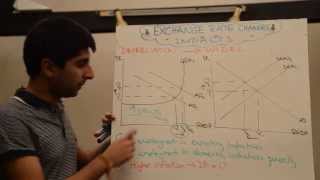 Impact of Exchange Rate Appreciations and Depreciations with Evaluation [upl. by Reamonn524]