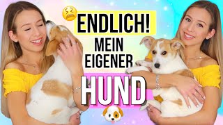 ICH HABE EINEN WELPEN BEKOMMEN 🐶🥰Mein erster EIGENER Hund  Cali Kessy [upl. by Zetnas]