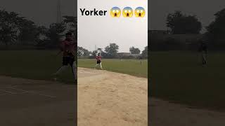 Saif cricket 05 🤎 what a ball bhai Yorker ball 😱😱cricket viralshort hassankaisbataballmatch [upl. by Ryter]