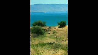 Kinneret 😔the movie is so beautiful and now very dangerous🥴 respect shorts [upl. by Kenelm]