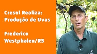 Cooperativismo  A história da agroindústria familiar em Frederico WestphalenRS  Cresol Realiza [upl. by Aliuqaj]