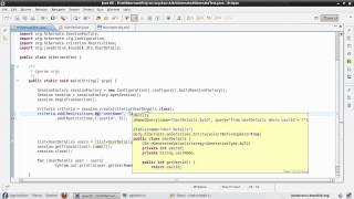 Hibernate Tutorial 30  Understanding Restrictions [upl. by Leahcimnaj]