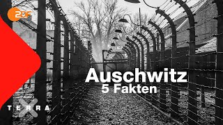 5 Fakten die ihr über Auschwitz wissen solltet  Terra X [upl. by Jac]