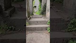 lime kiln explore 2024 youtubeshorts limestone peakdistrict history [upl. by Rutherford35]